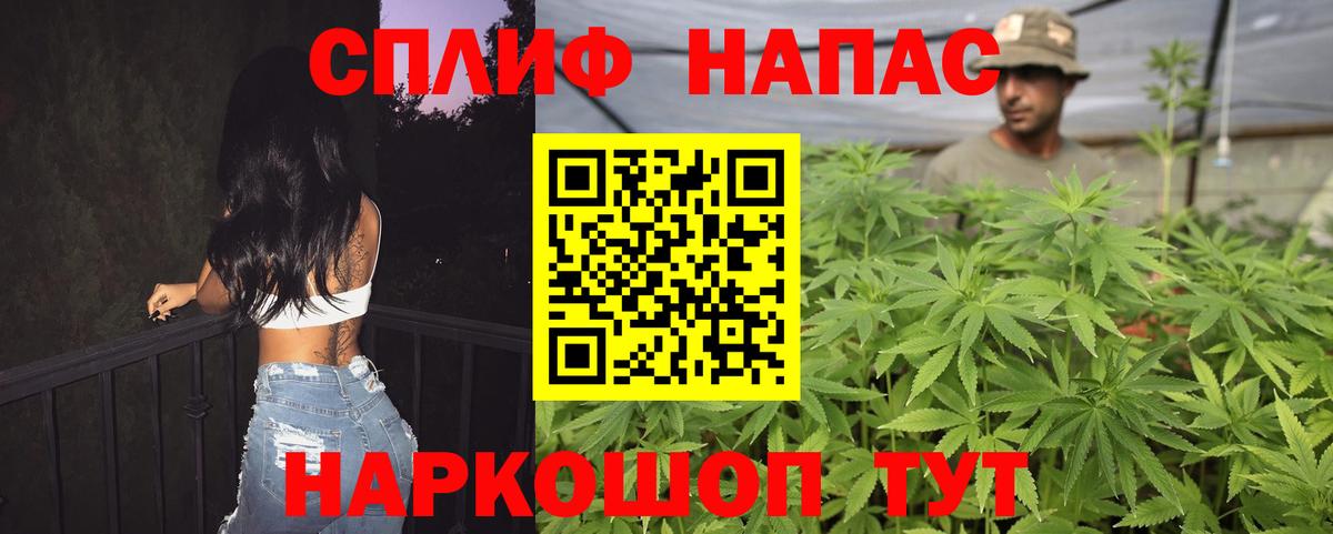 Каннабис SATIVA & INDICA Мытищи